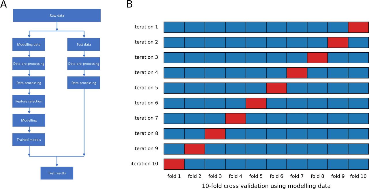 Developing interpretable machine learning models to predict length of ...